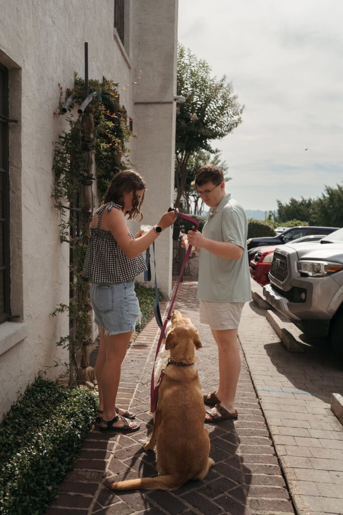 A couple stands on a brick sidewalk clipping leashes onto their dog before heading out together.