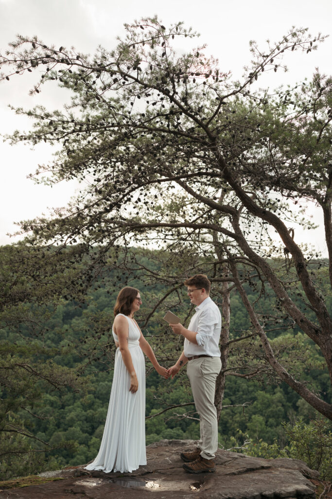 Alt text for both:

Image 1 (color, same overlook vow moment, wider angle):
