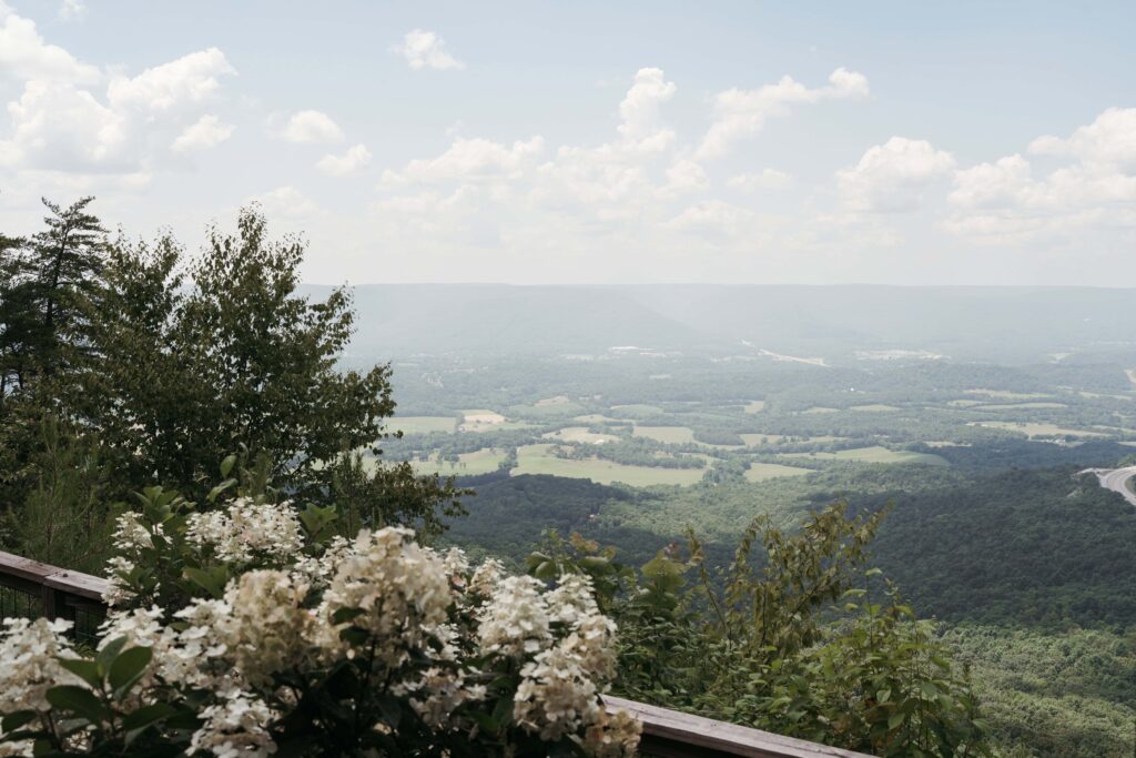 Landscape image from an Airbnb overlooking the sequatchie valley in Tennessee.